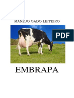 MANEJO GADO LEITEIRO