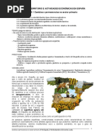 O Sector Primario