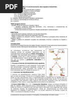 TEMA 2 a Reestruturación Dos Espazos Industriais