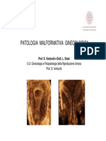  Patologia Malformativa Ginecologica