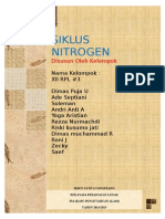 Makalah Biokimia Siklus Nitrogen