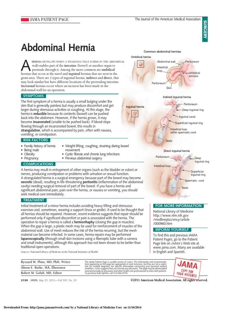 Abdominal Hernia: Jama Patient Page | PDF | Clinical Medicine | Medical ...