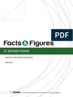 ENEA Consulting Le Biomethane.pdf