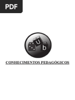 4_Conhecimentos_Pedagogicos
