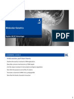 Molecular Genetics Handout