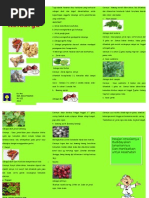 Download Tanaman Obat Keluarga by FebriEugene SN253465157 doc pdf