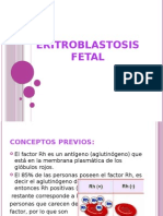 Eritroblastosis Fetal