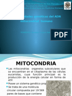 Foro 6 Mitocondria Verano 2012-0