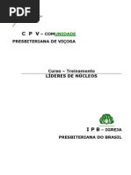 resumo ponha em ordem.pdf
