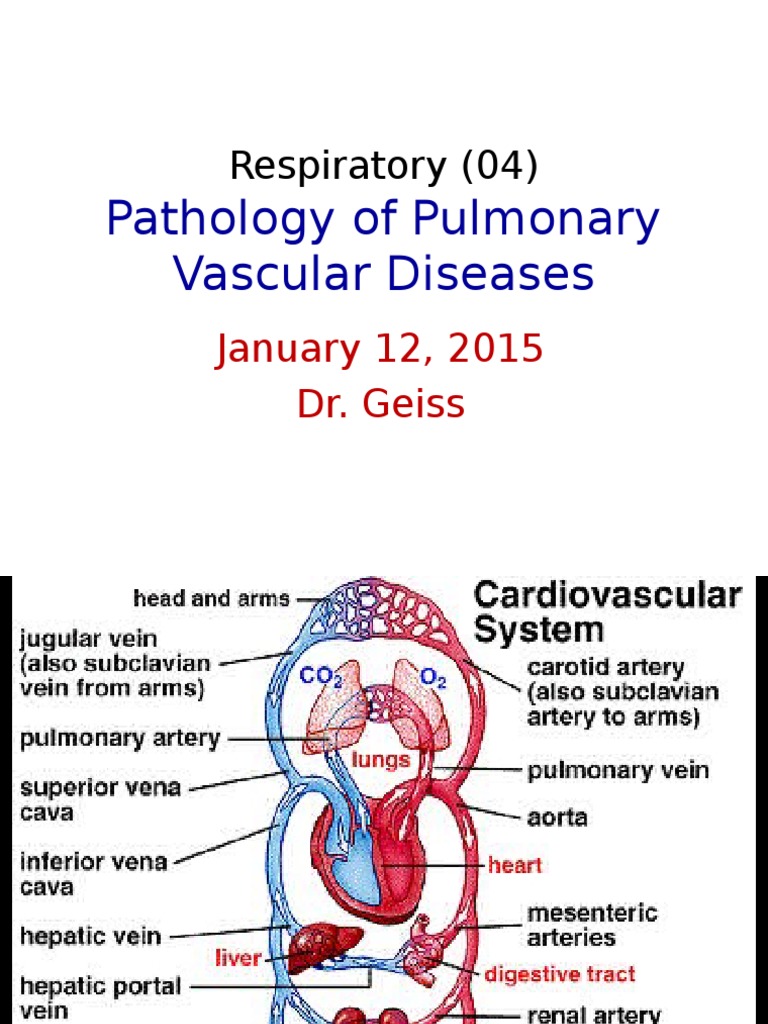 04_ Pathology of Pulmonary Vascular Diseases 01_09_2015.ppt