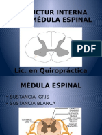 Clase 3 Estructura Interna de La Médula Espinal