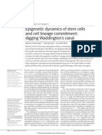 Epigenetic Dynamics of Stem Cells