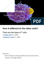 T Cell Presentation