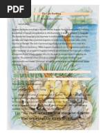 the-ugly-duckling-stylistics-lea (1).docx