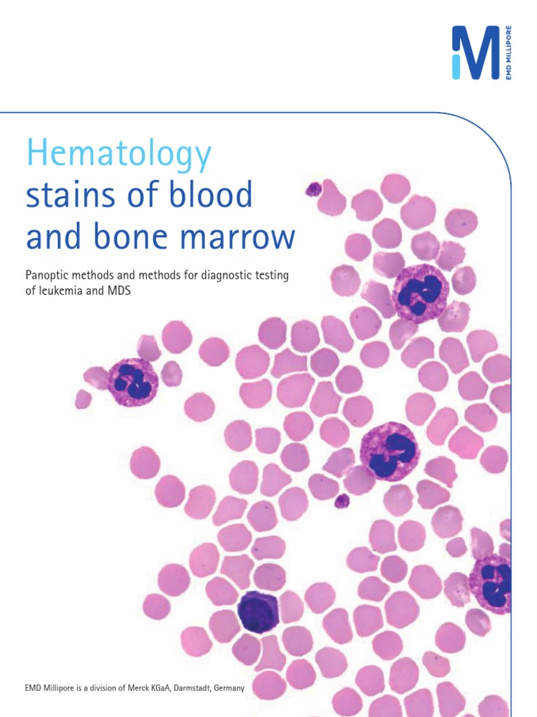 Hematology Staining Granulocyte