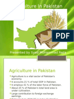 Agricultureinpakistan 130111121234 Phpapp02