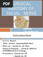 Surgical Incision Head & Neck | PDF | Anatomical Terms Of Location | Skull