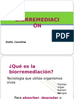 biorremediacion