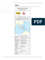 Brunei Darussalam PDF