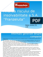 Analiza Riscului de Insolvabilitate Franzeluta