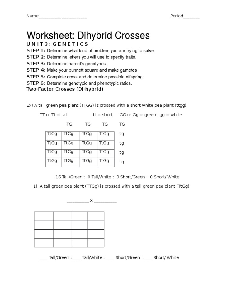 Dihybrid Cross WS  PDF  Zygosity   Dominance (Genetics) With Dihybrid Cross Worksheet Answers