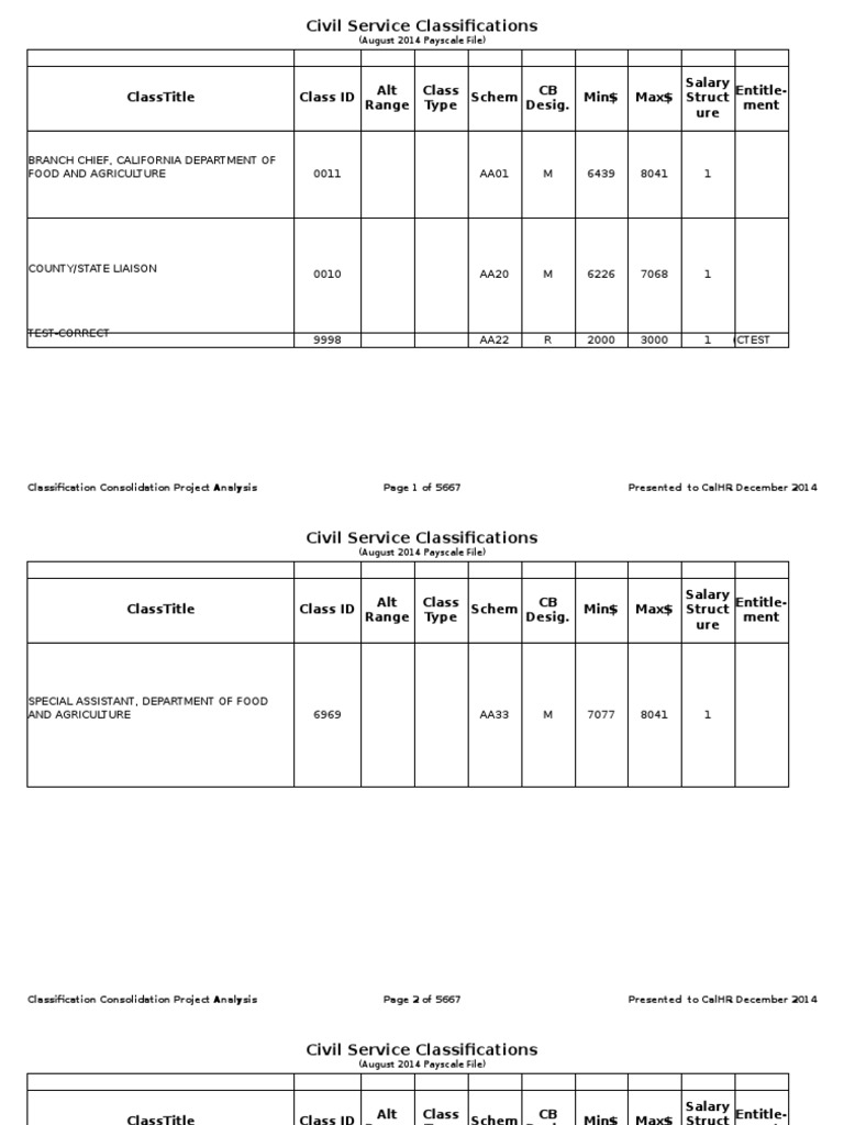 California Civil Service Classification Analyses PDF