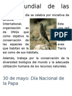 Dia Mundial de Las Aves Este Día Se Celebra Por Iniciativa de BirdLife International