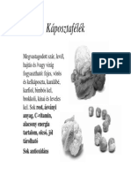 Élelmiszercsoportok Nyomtatva PDF