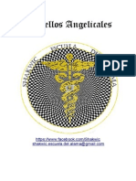 Sintoniacion de los 49 sellos angelicales.pdf