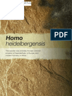 Roberts 2011 - Homo Heidelbergensis