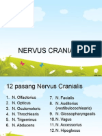 Nervus Cranialis Meta