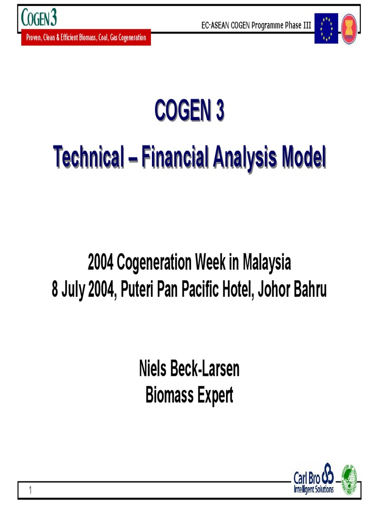 TFA Model Analysis Cogeneration | PDF | Cogeneration | Internal Rate Of ...