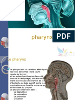 Pharynx PPSX