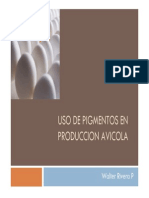 Uso de Pigmentos en Produccion Avicola