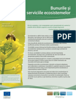 Ecosystem RO PDF