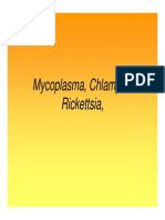 Rickettsia, Chlamydia, Mycoplasma