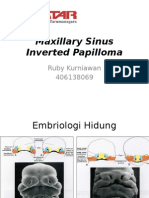 Maxillary Sinus Inverted Papilloma