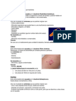 Enfermedades Causadas Por Bacterias PDF