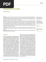 Neuropsicología de Los Sueños