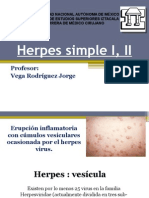 Herpes Simple I, II Joss