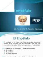 Elcerebro