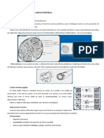 420-2014-03-20-26 Fisiopatologia Del Nervio Periferico PDF