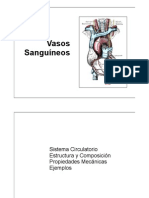 VasosSanguineos PDF