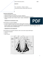 2.14.anatom A Del Periodonto