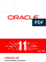 Oracle BD Options