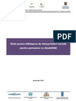 Ghid Pentru Infiintarea de Intreprinderi Sociale Pentru Persoane Cu Dizabilitati