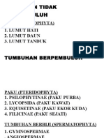 Tumbuhan Tidak Berpembuluh