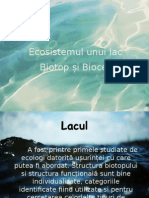 Ecosistemul Unui Lac