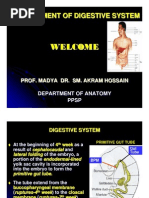 Download Development of Digestive System by saras28 SN25367275 doc pdf