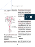 Пирамидални пут PDF